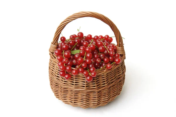 Vegetarian Food Selective Focus — Stock Photo, Image