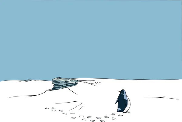 Pinguino Carino Natura Selvaggia — Foto Stock