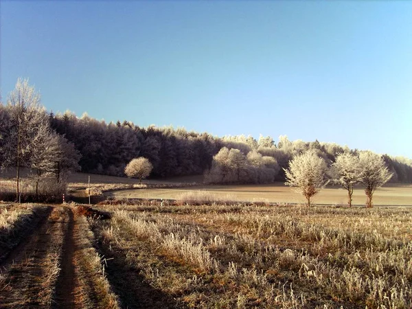 Vista Una Escena Invierno —  Fotos de Stock