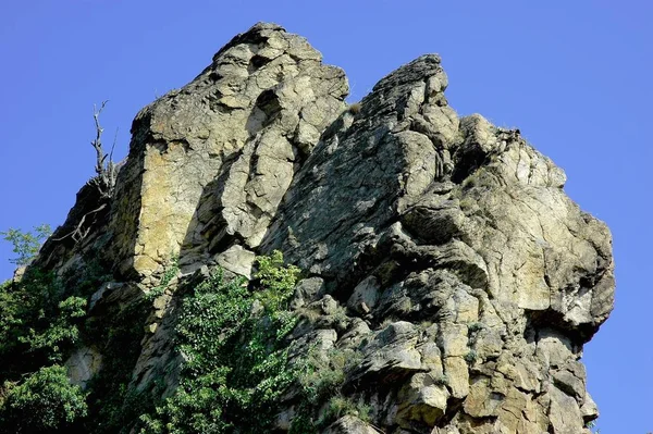 Prachtig Uitzicht Het Natuurlandschap — Stockfoto