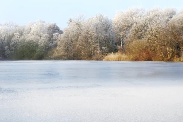 Winterlandschaft Mit Schneebedeckten Bäumen — Stockfoto