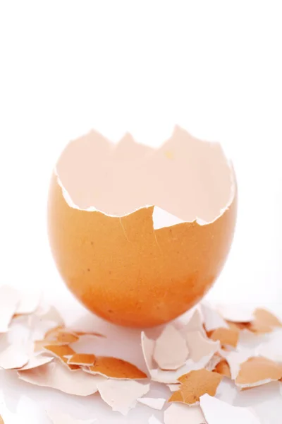 Cáscara Huevo Rota Sobre Fondo Blanco —  Fotos de Stock