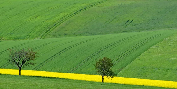 Malebný Pohled Krajinu Přírody — Stock fotografie