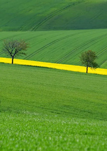 Bella Vista Sulla Natura — Foto Stock