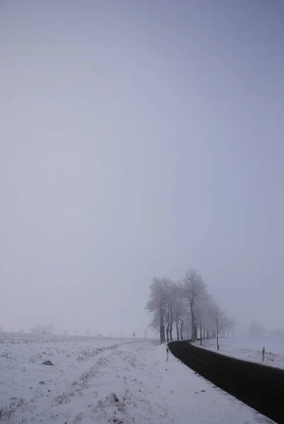 Festői Kilátás Gyönyörű Téli Táj — Stock Fotó