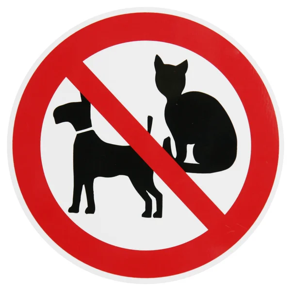 Geen Honden Geen Kwaad — Stockfoto