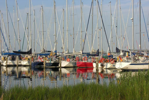 Marina Vitte Pequeña Hermosa Isla Hiddensee Siempre Está Llena Mermeladas —  Fotos de Stock