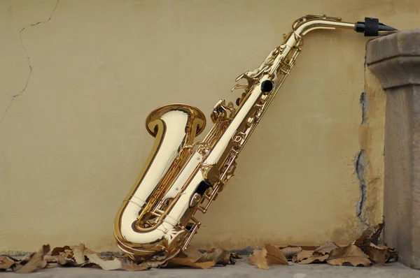 Guldsaxofon Med Höstlöv — Stockfoto