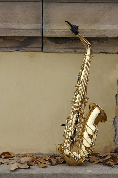 Saxofone Dourado Com Folhas Outono — Fotografia de Stock