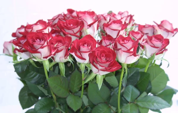 Μπουκέτο Τριαντάφυλλα Λουλούδια Και Χλωρίδα — Φωτογραφία Αρχείου