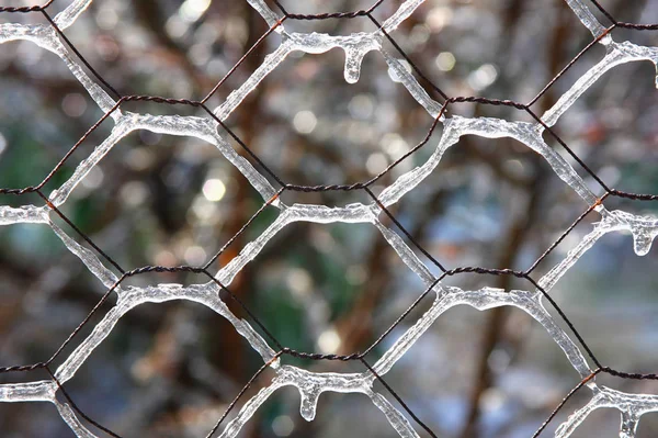 Blick Auf Eine Winterszene — Stockfoto