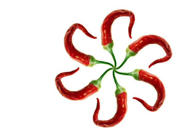 Красный Перец Чили Изолирован Белом Фоне — стоковое фото