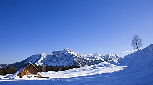 Vista Panoramica Bellissimo Paesaggio Alpino — Foto Stock