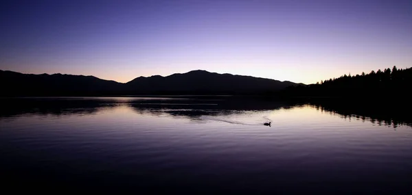 Manhã Cedo Lago Tekapo — Fotografia de Stock