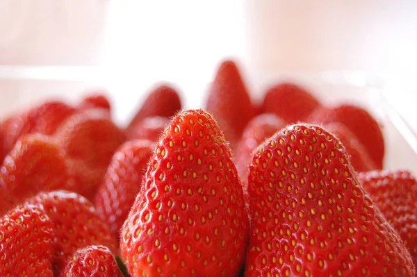 Most Beautiful Strawberries — Stock Photo, Image