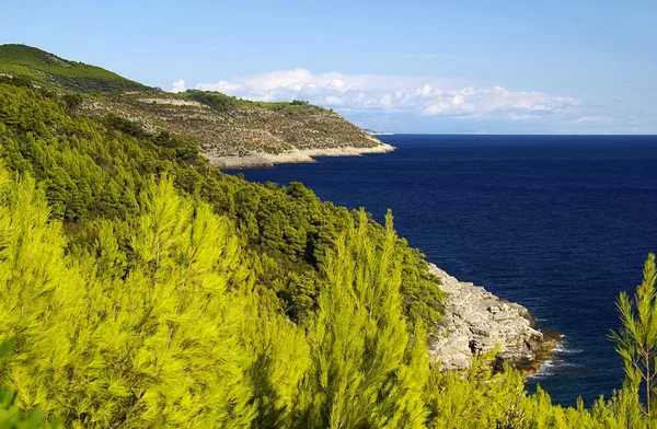 Izola Népszerű Üdülőhely Istria Lusta Részén — Stock Fotó