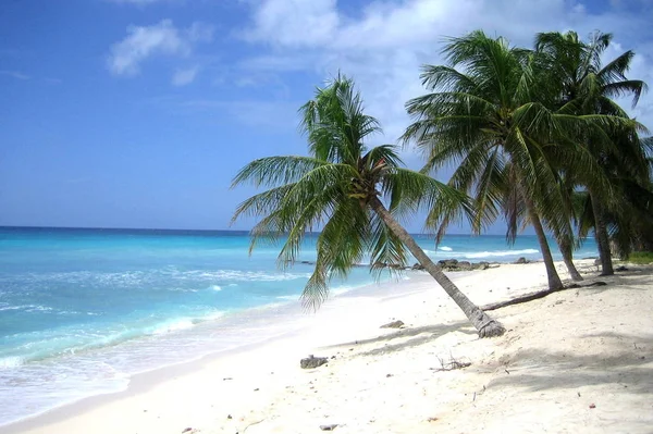 Барбадос Східний Карибський Острів — стокове фото