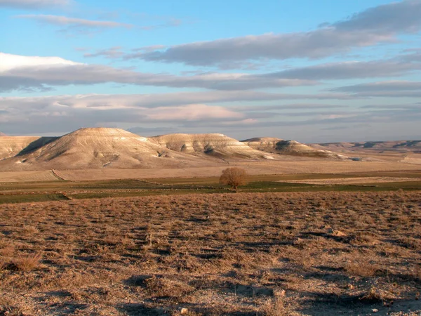 Paysage Steppe Hiver — Photo