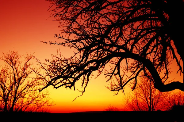 Schöne Aussicht Auf Die Natur — Stockfoto