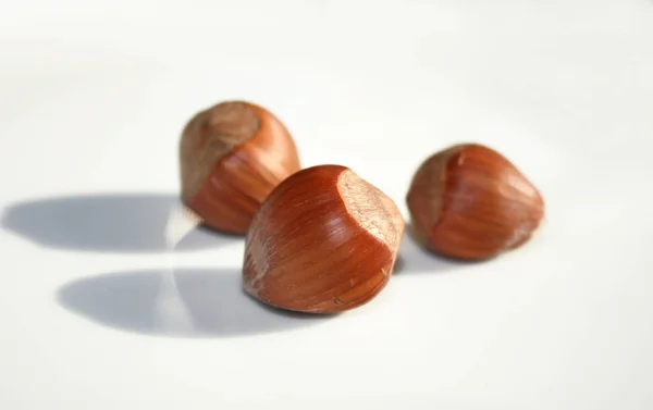 Lískové Ořechy Rostlinné Potraviny Sklizeň — Stock fotografie