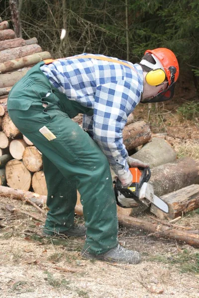 Hombre Con Castaño Cortando Leña Bosque — Foto de Stock