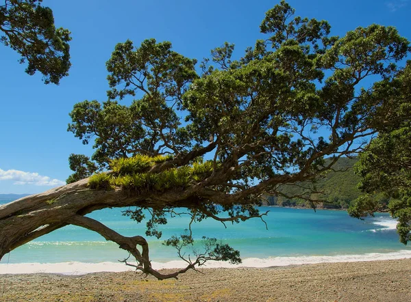 Beautiful Tropical Beach Landscape — Stock Photo, Image