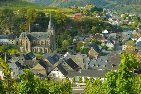 Vinodlingar Vid Tyska Mosel — Stockfoto