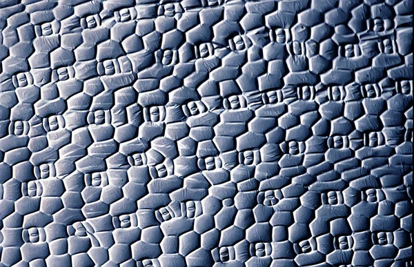 Surface Foliaire Avec Stomates Microscopiques — Photo