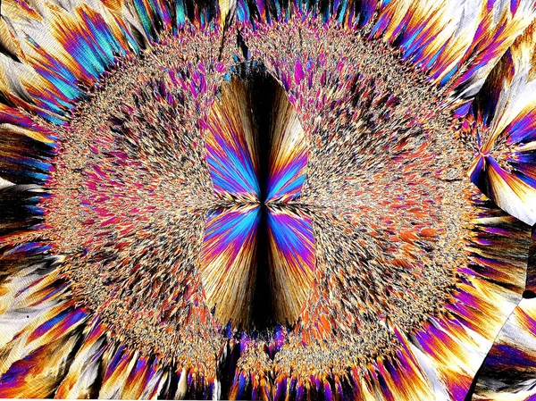 Kristalle Polarisiertem Licht Mikroskopische Zellstruktur — Stockfoto