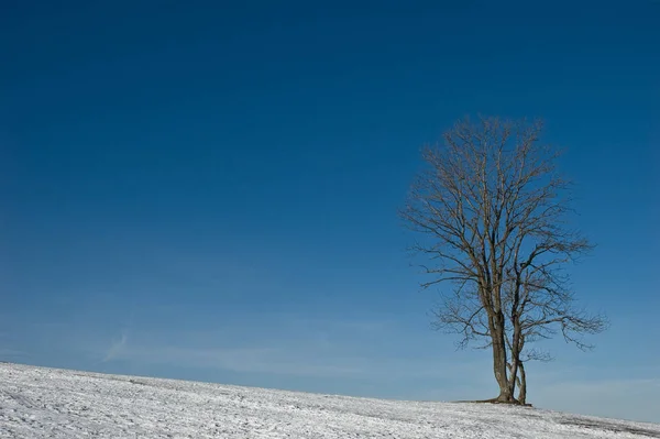 Bella Vista Del Paesaggio Naturale — Foto Stock