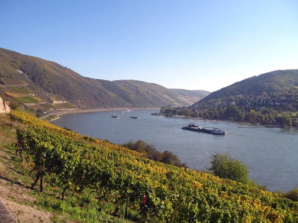 Der Rhein Ist Einer Der Wichtigsten Europäischen Flüsse Der Der — Stockfoto