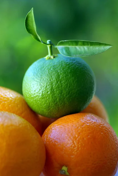 Naranjas Verdes Otras Naranjas Maduras — Foto de Stock