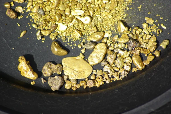 view of California Gold Nuggets
