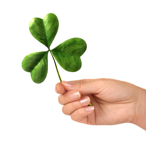 Groen Klaverblad Geïsoleerd Witte Achtergrond — Stockfoto