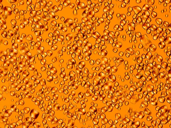 Kukoricakeményítő Mikroszkóp Alatt — Stock Fotó
