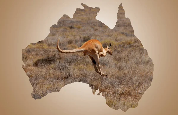 Australien Officiellt Samväldet Australien Ett Suveränt Land Som Omfattar Fastlandet — Stockfoto