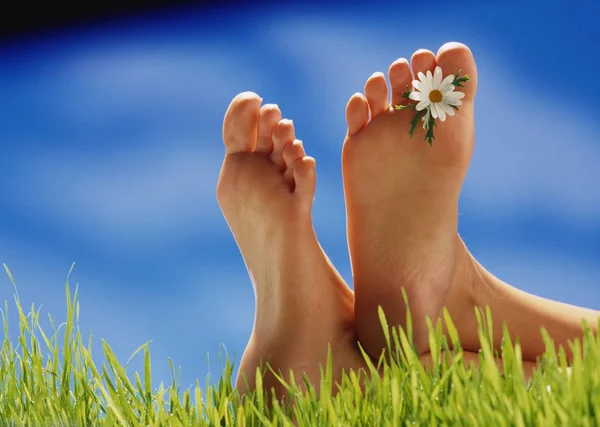 Женские Ноги Зеленой Траве — стоковое фото