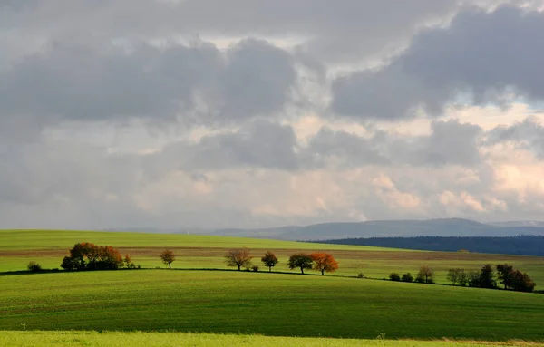 Światło Cień Polach Łąkach — Zdjęcie stockowe