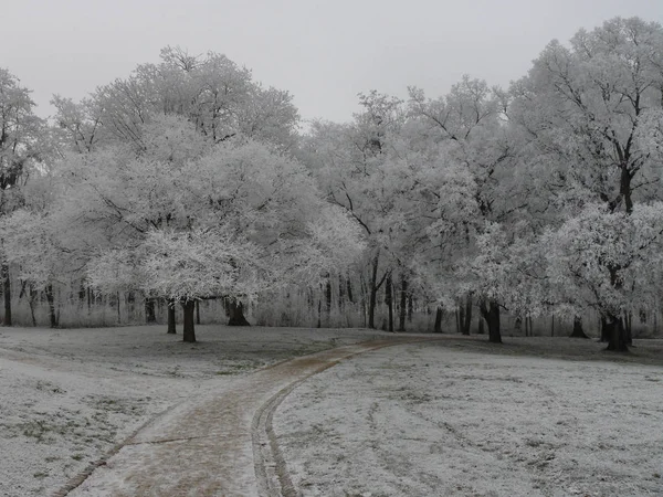 Hermosa Vista Del Paisaje Invierno —  Fotos de Stock