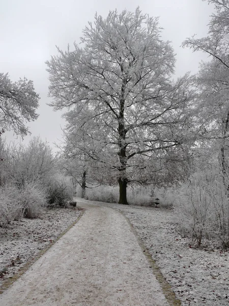 Bela Vista Paisagem Inverno — Fotografia de Stock