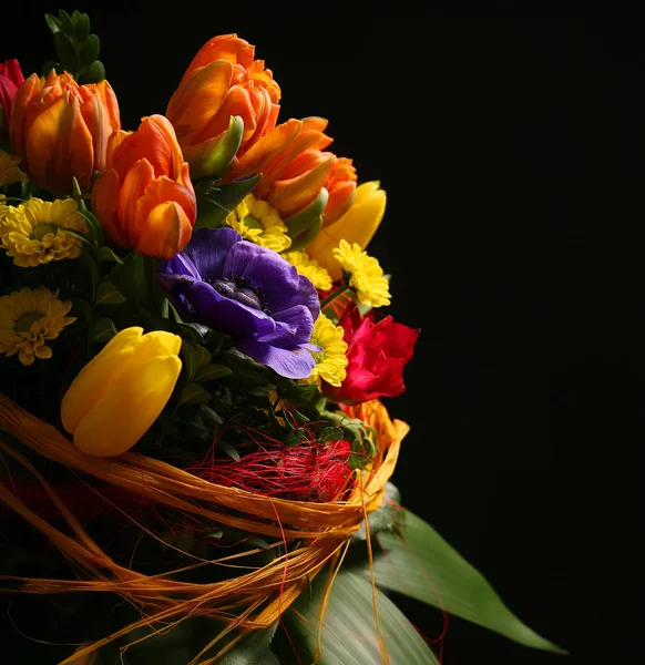 Vårtulpaner Blommor Flora — Stockfoto