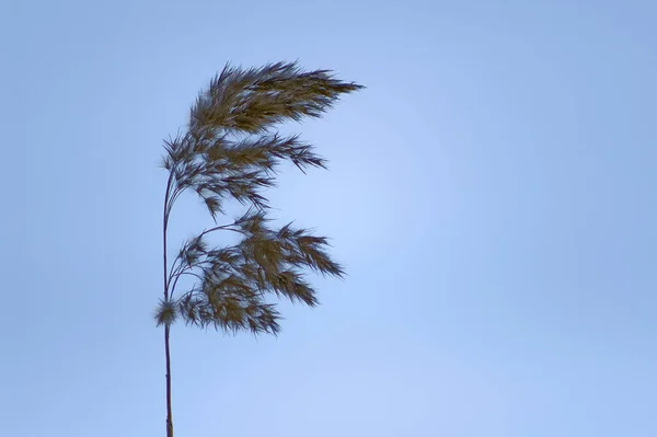 South Coast Beach — Stock fotografie