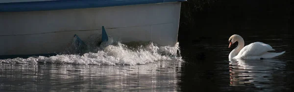 Scenisk Över Segelbåt Detaljer — Stockfoto