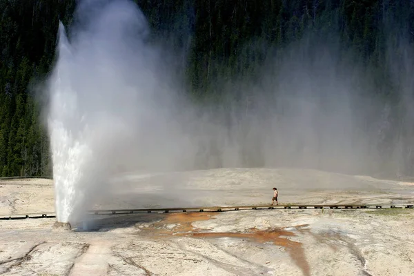 Parco Yellowstone Alveare Geyser — Foto Stock