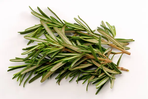 Green Rosemary Herbal Plant Flora — Stock Photo, Image