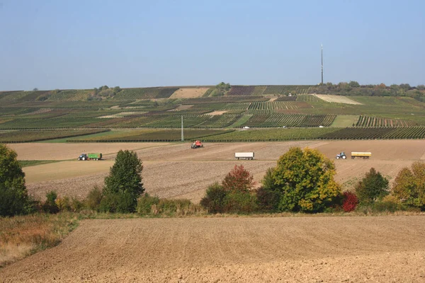 Der Rhein Ist Einer Der Wichtigsten Europäischen Flüsse Der Der — Stockfoto