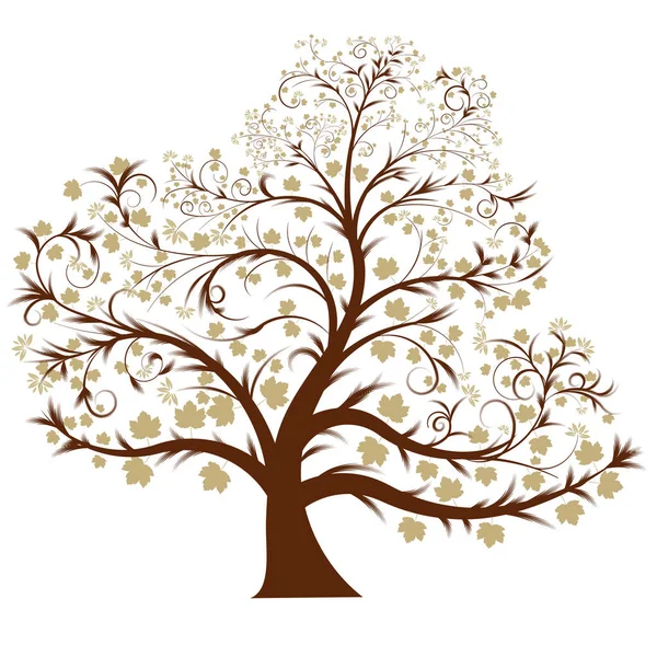 Дерево Цветами Белом Фоне — стоковое фото