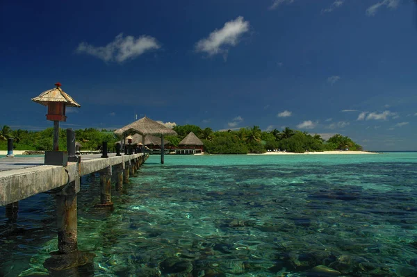 Paradissemester Maldiverna — Stockfoto