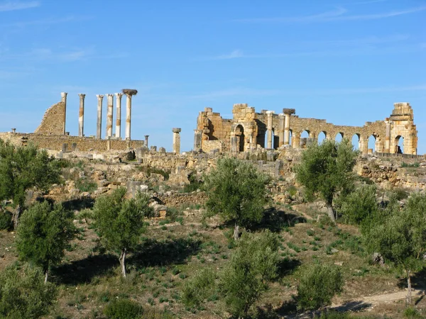 Arsitektur Yang Berbeda Fokus Selektif — Stok Foto