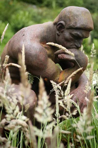 Ung Man Törnekronan — Stockfoto